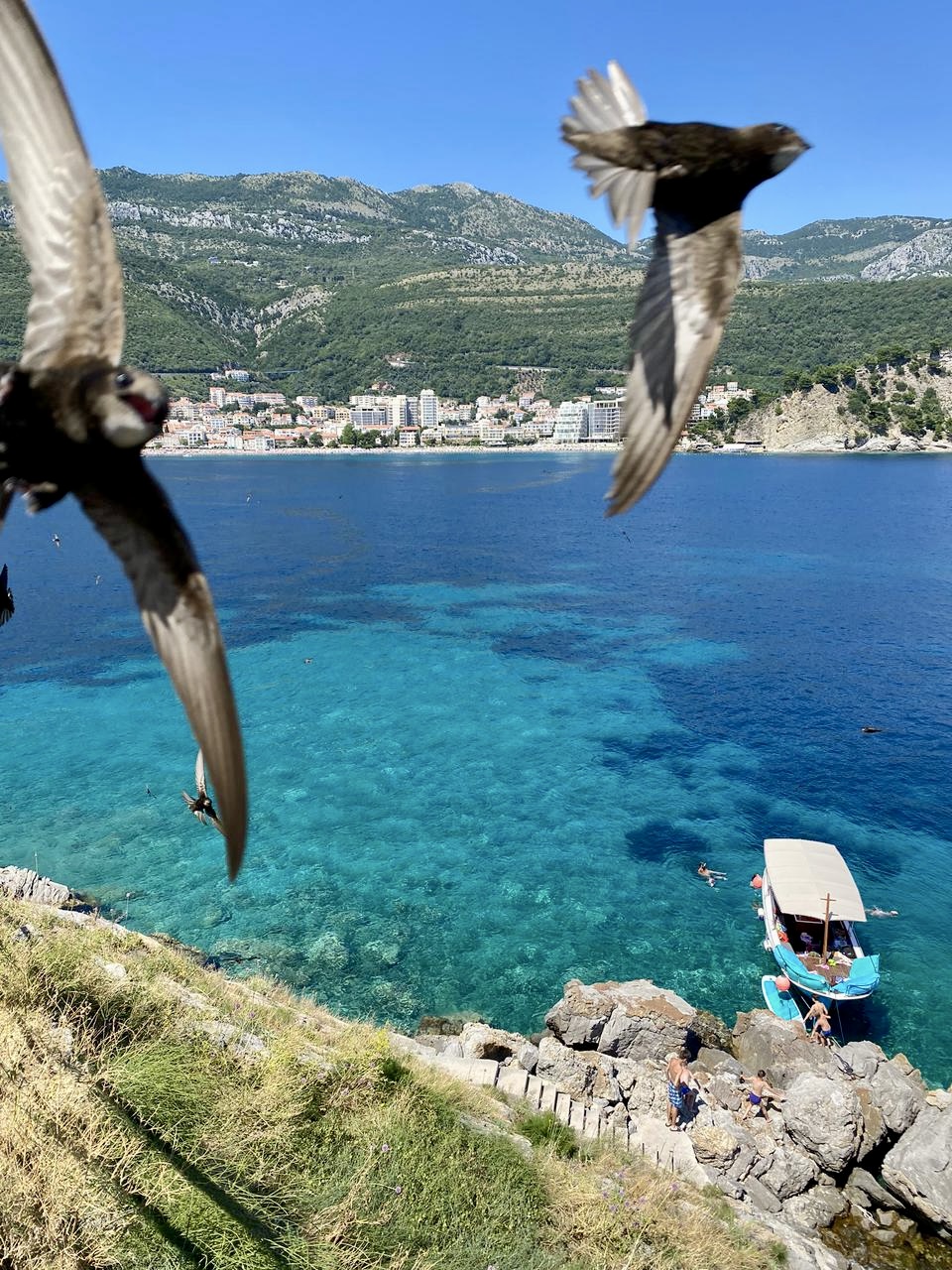 Budva boat tour photo