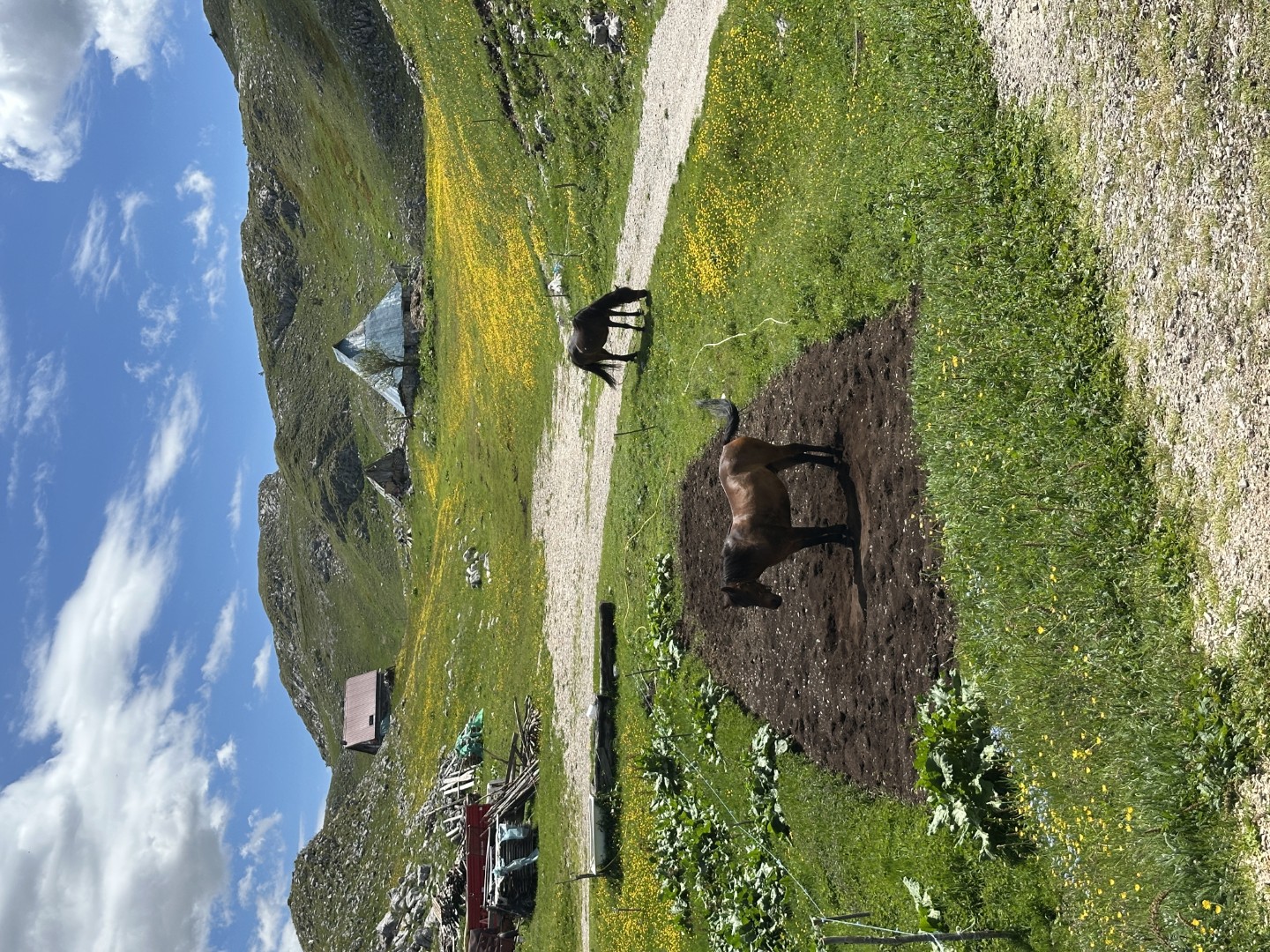 Jeep tour photo