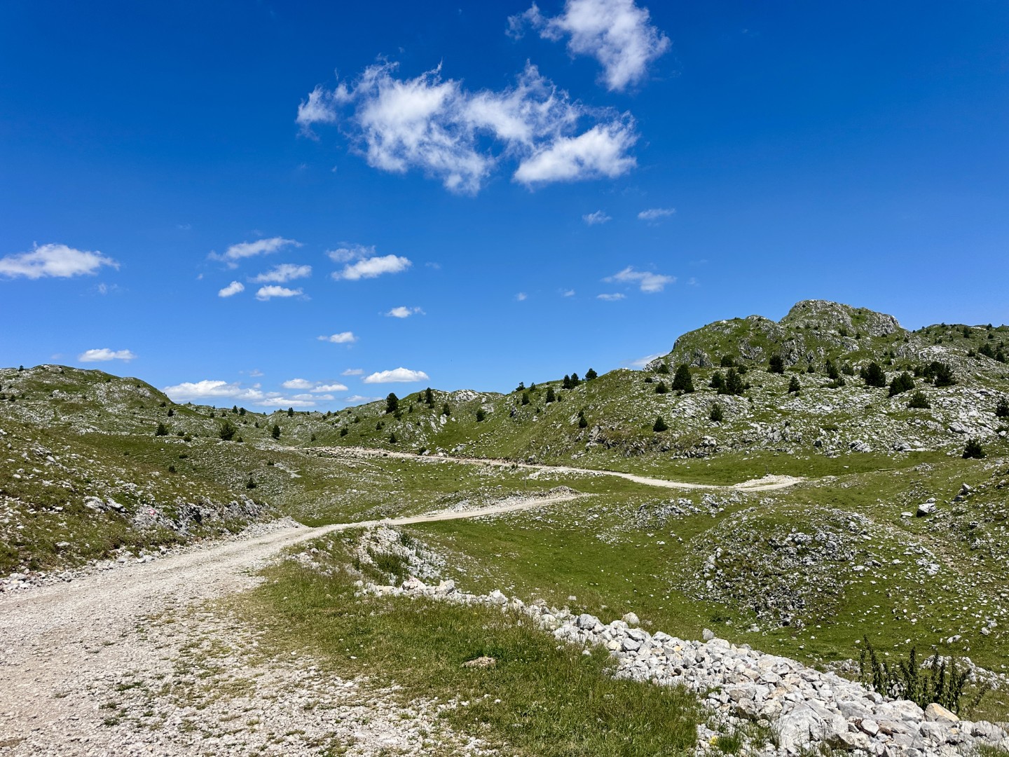 Jeep tour photo
